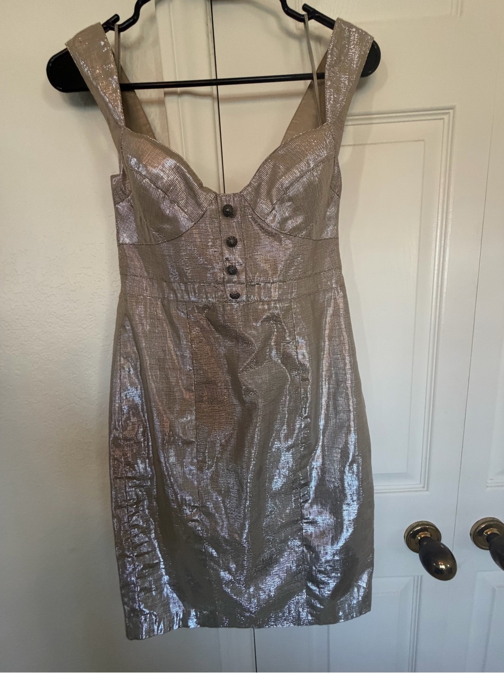 Ali Ro Metallic Taupe Mini Dress with Button Front